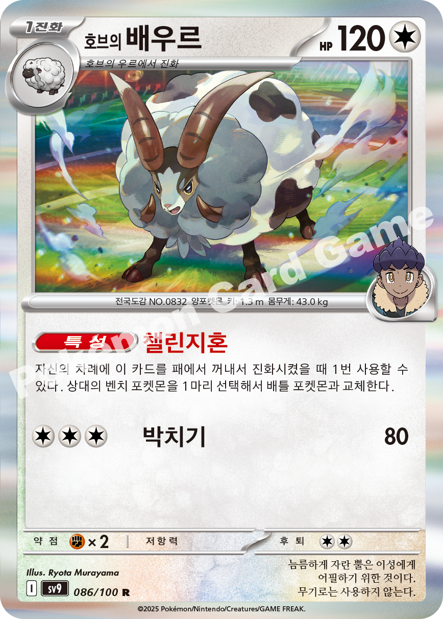 Hop's Dubwool 086 — Battle Partners (Korean Pokémon TCG card)