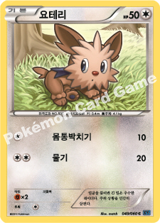 Lillipup 049 — Collection X (Korean Pokémon TCG card)