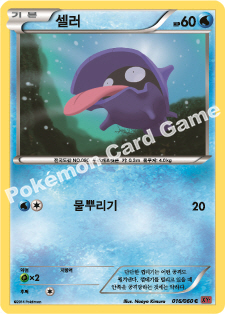 Shellder 016 — Collection Y (Korean Pokémon TCG card)