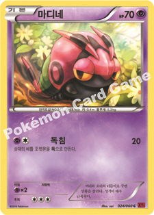 Venipede 024 — Collection Y (Korean Pokémon TCG card)