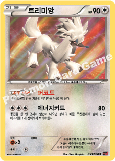 Furfrou 053 — Collection Y (Korean Pokémon TCG card)