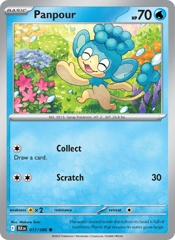 Panpour 017/86 — Black Bolt (English Pokémon TCG card)