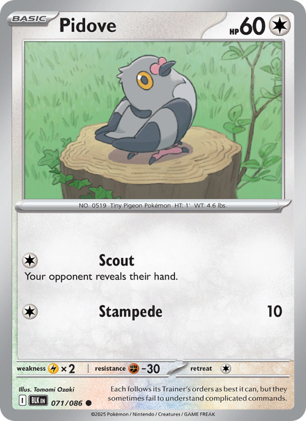 Pidove 071/86 — Black Bolt (English Pokémon TCG card)
