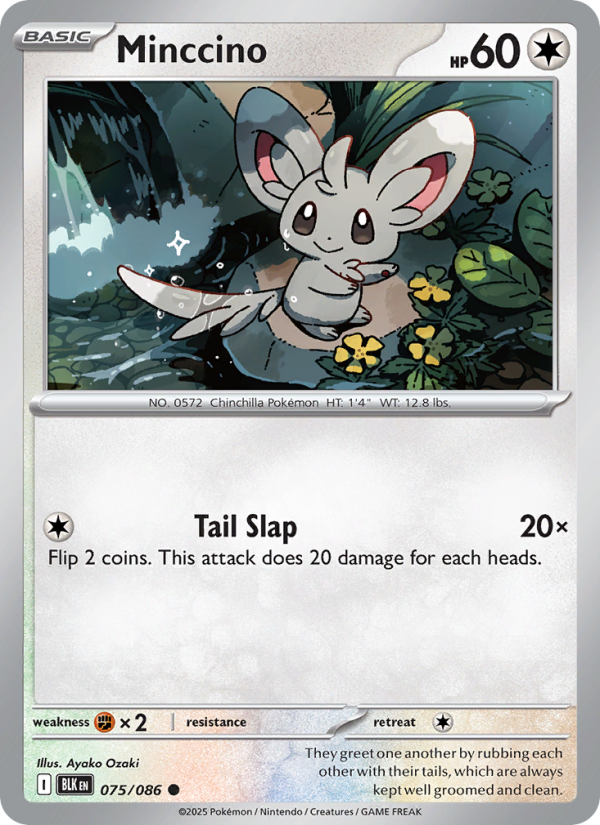 Minccino 075/86 — Black Bolt (English Pokémon TCG card)
