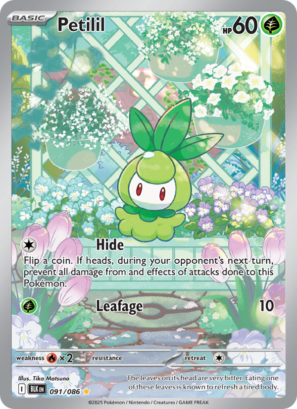 Petilil 091/86 — Black Bolt (English Pokémon TCG card)
