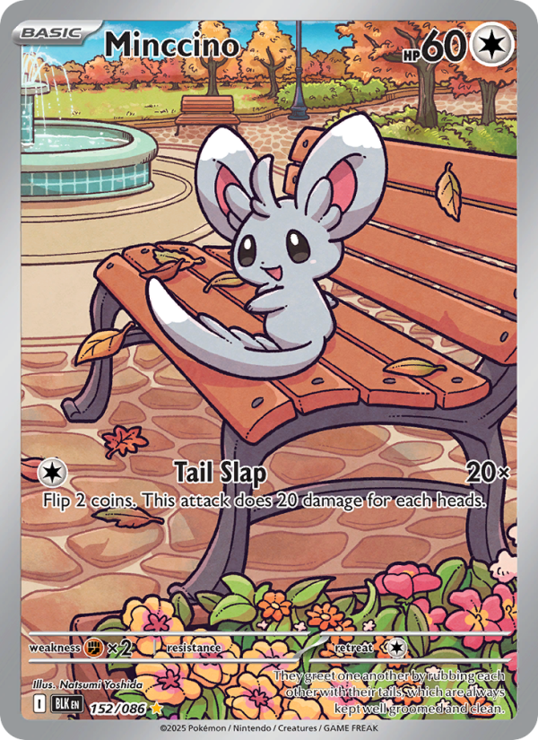 Minccino 152/86 — Black Bolt (English Pokémon TCG card)